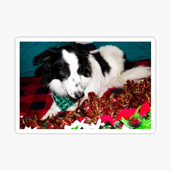 Skipper in the Garland Sticker