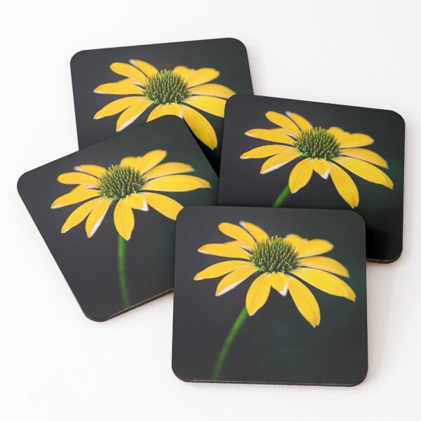 Gelbe Kegelblume auf einem dunklen Hintergrund Untersetzer (4er Set)