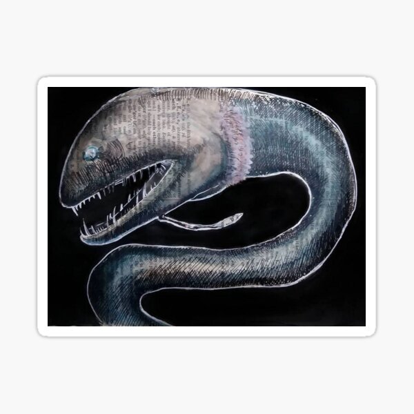 Black Dragonfish Sticker