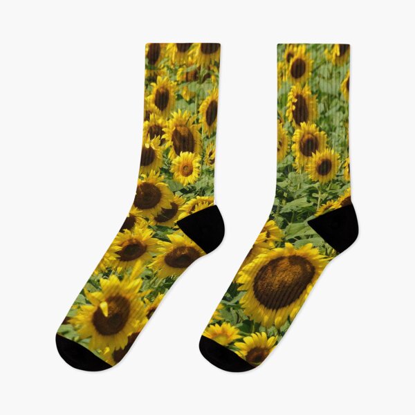 Item preview, Sunflower Panoramic Photo designed and sold by Sharon Schwalbe.