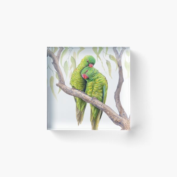 Item preview, Scaly-Breasted Lorikeets - watercolour design by Nadya Neklioudova  designed and sold by Nadya Neklioudova.