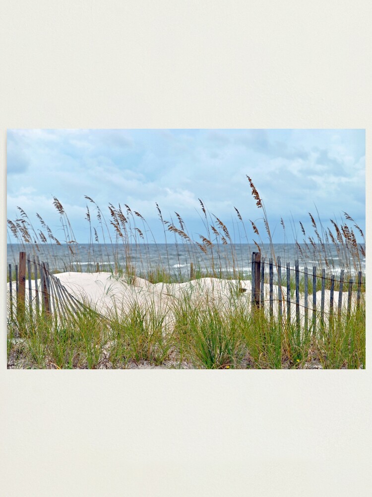 Alternate view of Storm Fence Photographic Print