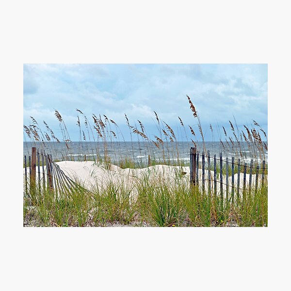 Storm Fence Photographic Print