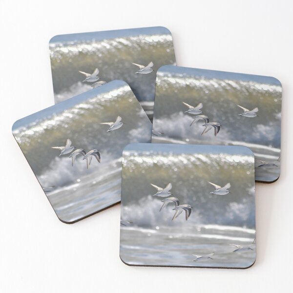Item preview, Piping Plovers in Flight designed and sold by Leera07.