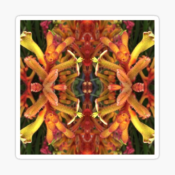 Item preview, Dancing Kangaroo Paws of Criterion Street, Hobart/nipaluna  designed and sold by RoseAromas.