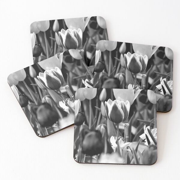 Item preview, Black and White Tulips designed and sold by Leera07.
