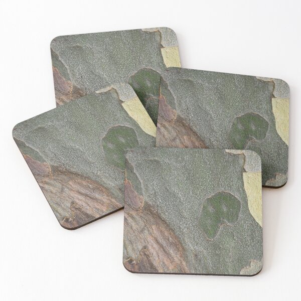 Item preview, Beautiful Sycamore Hues designed and sold by Jay Heifetz.