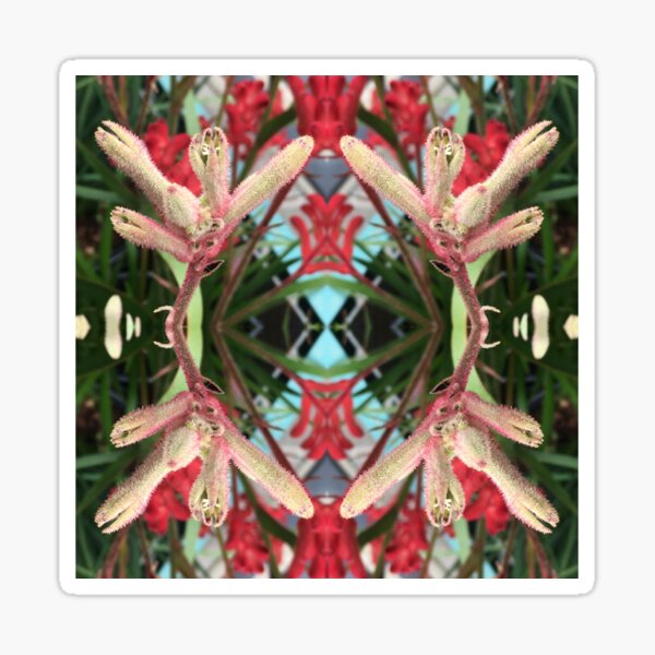 Item preview, Dancing Kangaroo Paws II of Criterion Street, Hobart/nipaluna designed and sold by RoseAromas.