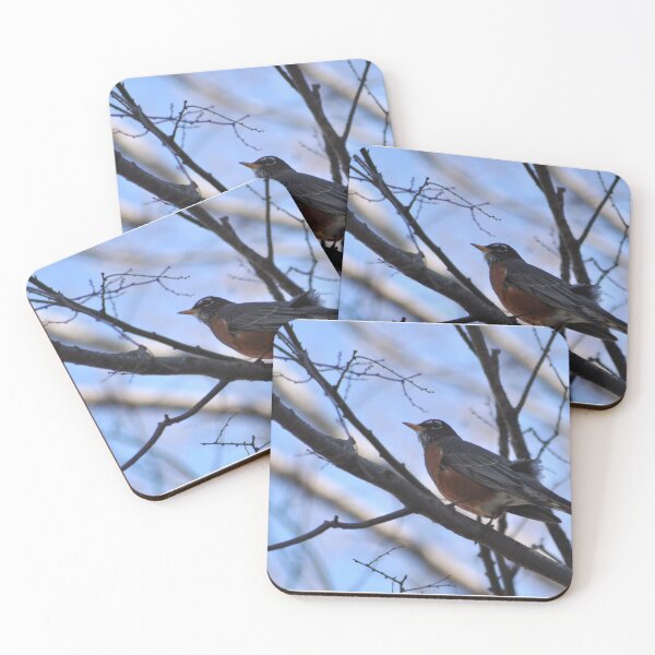 Item preview, Spring Robin designed and sold by Leera07.