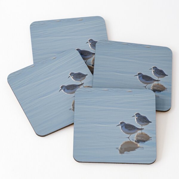 Item preview, Piping Plovers in Salvo designed and sold by Leera07.