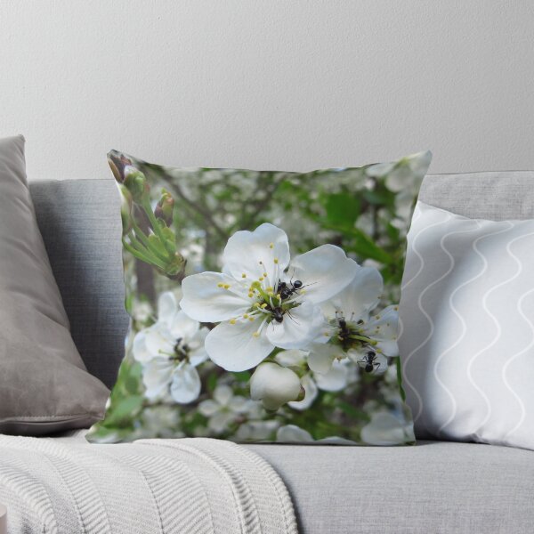 Item preview, Hormigas en las flores de cerezo designed and sold by Spondylus.