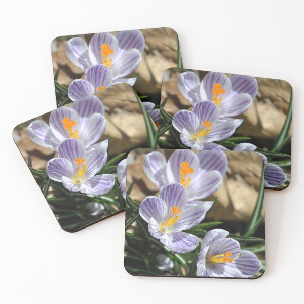 Item preview, Crocuses designed and sold by Leera07.