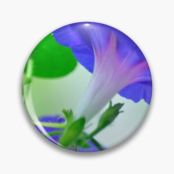 Item preview, Blue Morning Glory designed and sold by michaelasamples.