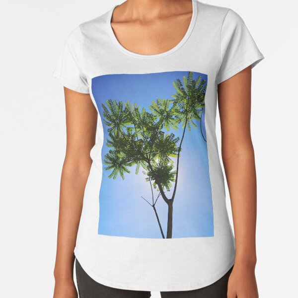 Tree of Life Premium Scoop T-Shirt