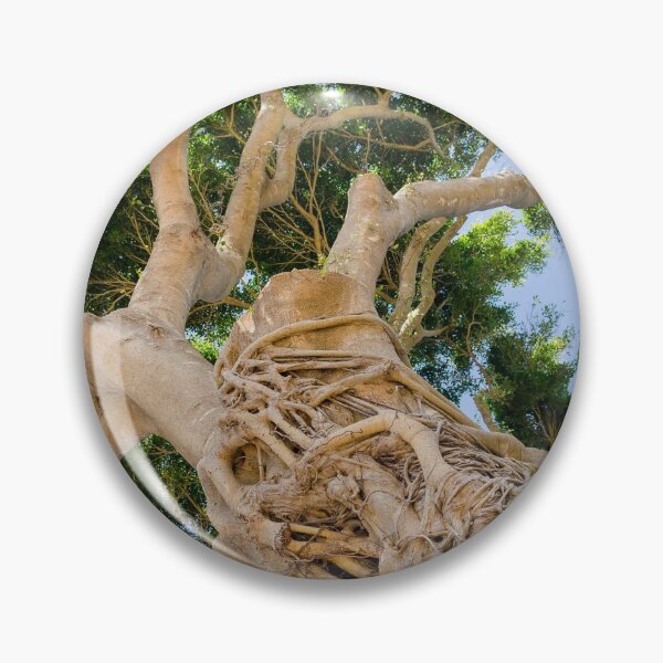 Item preview, Wild Tree in Kauai, Hawaii designed and sold by Dave Fine.