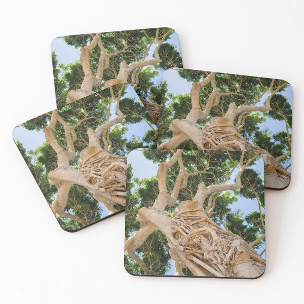 Item preview, Wild Tree in Kauai, Hawaii designed and sold by Dave Fine.