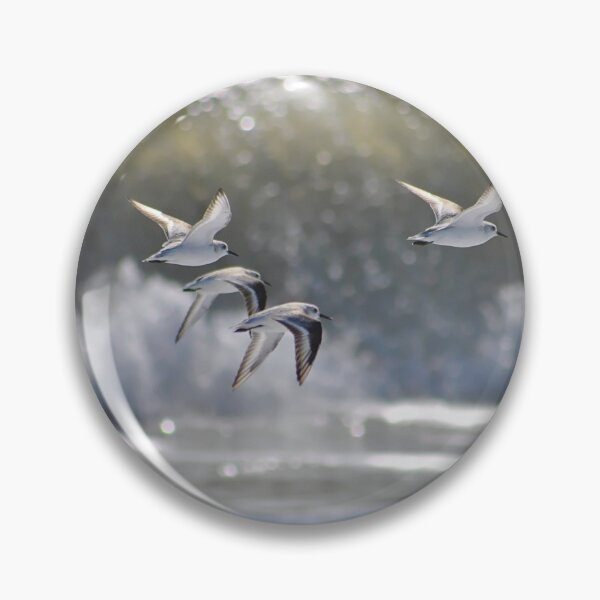Item preview, Piping Plovers in Flight designed and sold by Leera07.