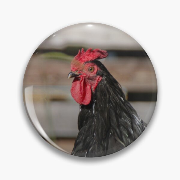 Aperçu de l'œuvre Coq avec fond en bois brun. créée et vendue par Shockzedits.