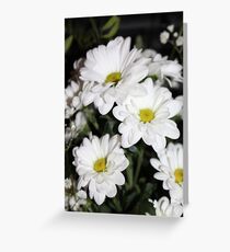 Flowers , Flowers , Flowers Greeting Card