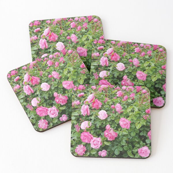 Item preview, Flourishing Rosebush Covered in Blooms designed and sold by Crystal Odenkirk.