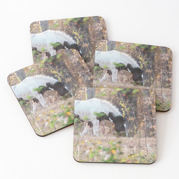 Aperçu de l'œuvre Cheval marchant dans les bois au printemps créée et vendue par Shockzedits.