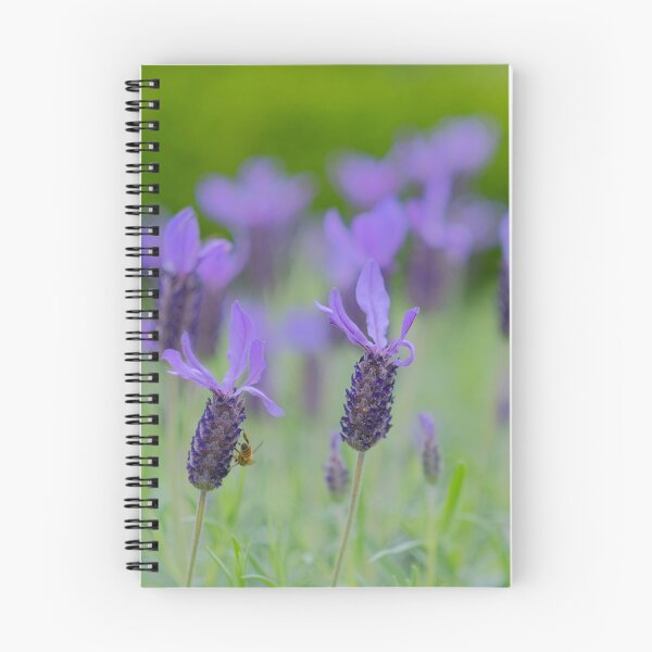 Item preview, Lavender Fields designed and sold by Gabrielle  Lees.