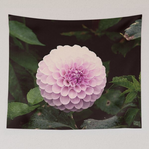 Item preview, dahlia flower designed and sold by blurry-mind.