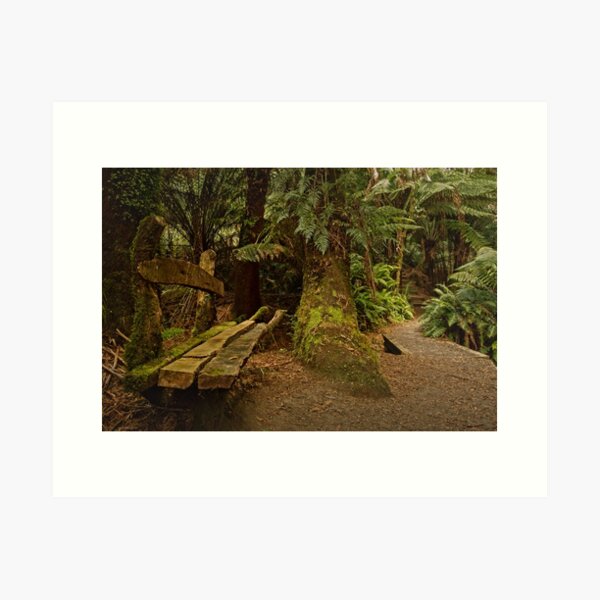 Item preview, Forest Oasis designed and sold by Catherine Reading.