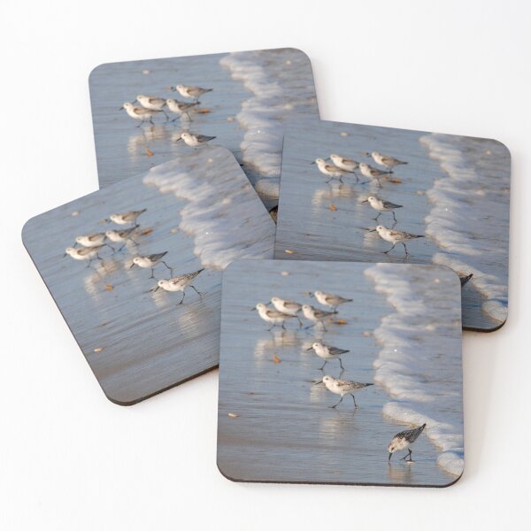 Item preview, Piping Plovers designed and sold by Leera07.