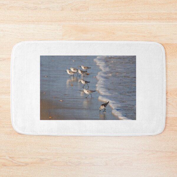 Item preview, Piping Plovers designed and sold by Leera07.
