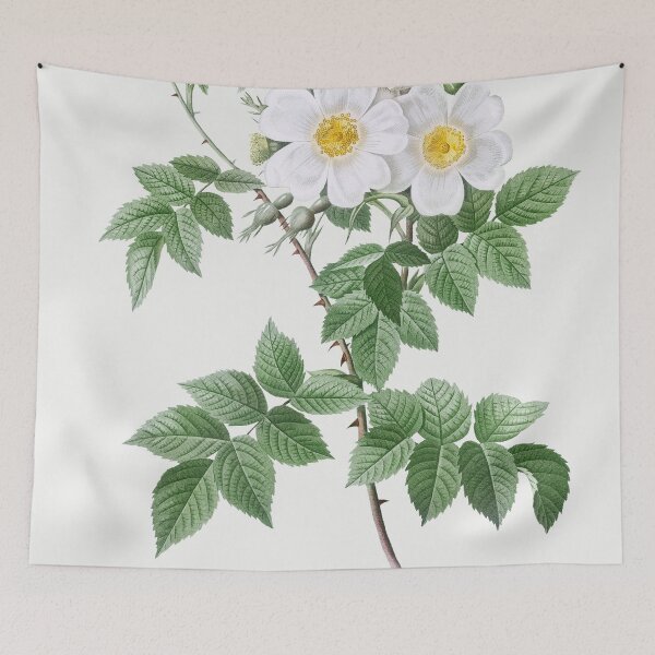 Item preview, Les Roses by Pierre-Joseph Redouté designed and sold by EsotericBotanic.