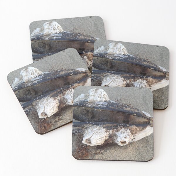Item preview, Barnacles designed and sold by NitaBond.