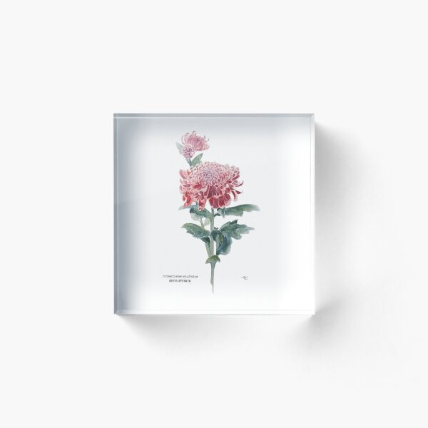 Mums Always Right Acrylic Block