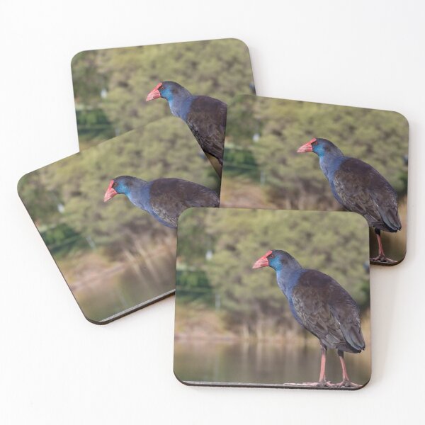 Artikelvorschau, Detaillierte australische lila Swamphen Nahaufnahme auf Steg entworfen und verkauft von hendrikspix.