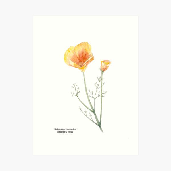 Golden Hour Art Print