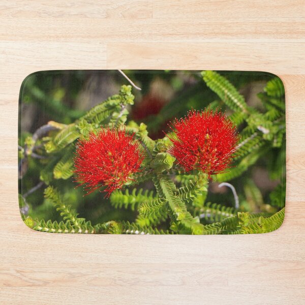 Item preview, Kalbarri Beaufortia flowers, Western Australia, Australia designed and sold by FranWest.