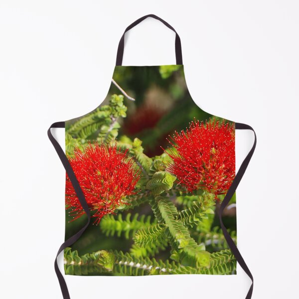 Item preview, Kalbarri Beaufortia flowers, Western Australia, Australia designed and sold by FranWest.