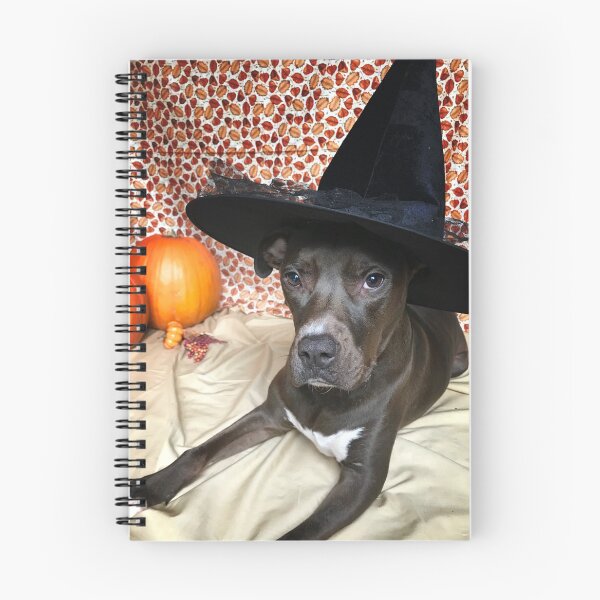 Item preview, Which Old Witch? designed and sold by Leera07.