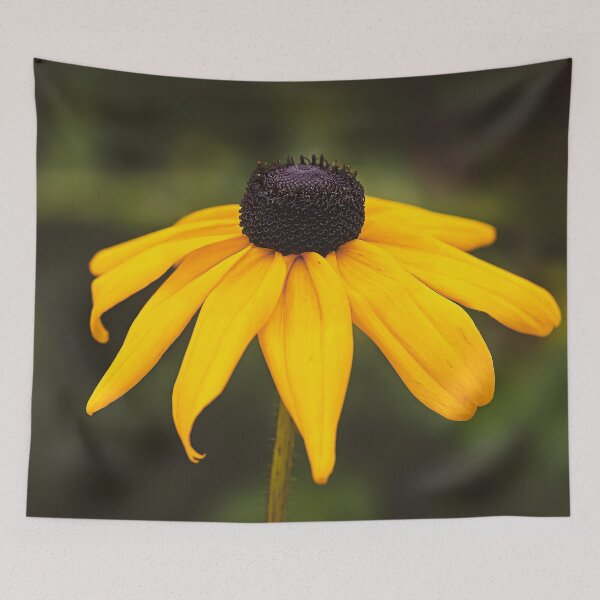 Item preview, Black-eyed Susan Flower designed and sold by Catherine Reading.