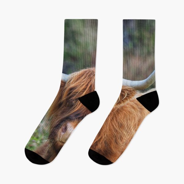 Item preview,  Highland Coo on Hoy designed and sold by Alan Mackinnon.