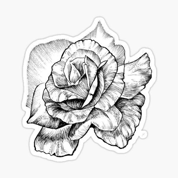 black ink rose Sticker