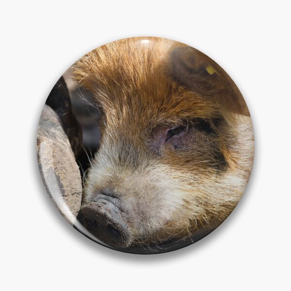 Item preview, Vauxhall City Farm - Pig (Edward) designed and sold by VauxhallFarm.