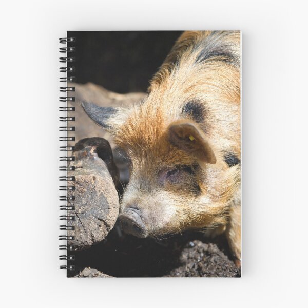 Item preview, Vauxhall City Farm - Pig (Edward) designed and sold by VauxhallFarm.