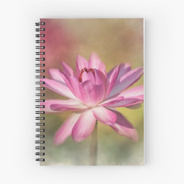 Item preview, Blushing Pink designed and sold by Kim Hojnacki.