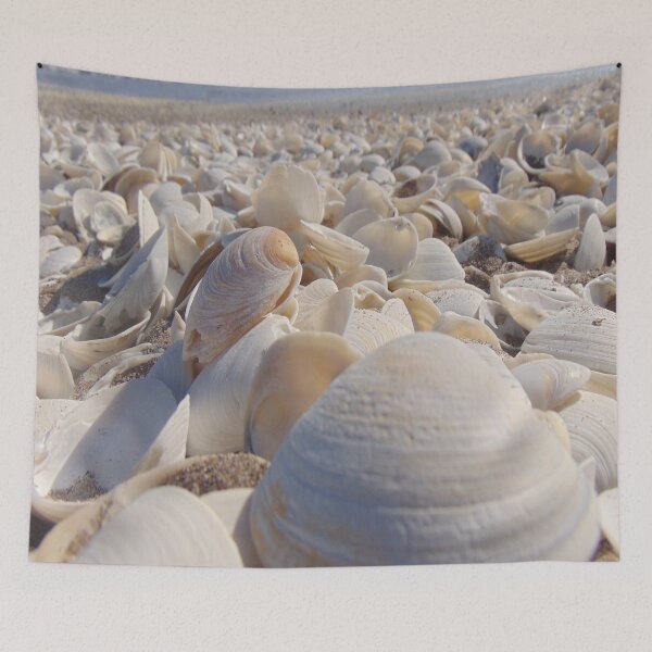 Item preview, Seashells  designed and sold by ThePrintCrafty.