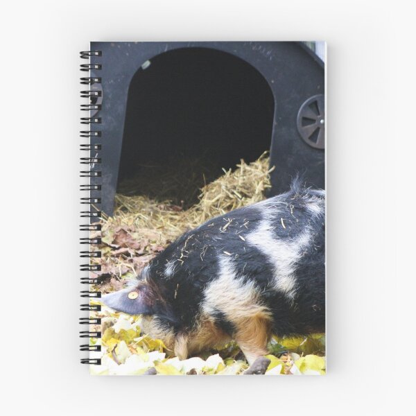 Item preview, Vauxhall City Farm - Pig (Jenny) designed and sold by VauxhallFarm.