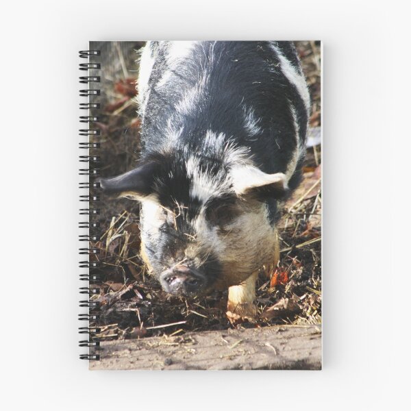 Item preview, Vauxhall City Farm - Pig (Jenny) designed and sold by VauxhallFarm.