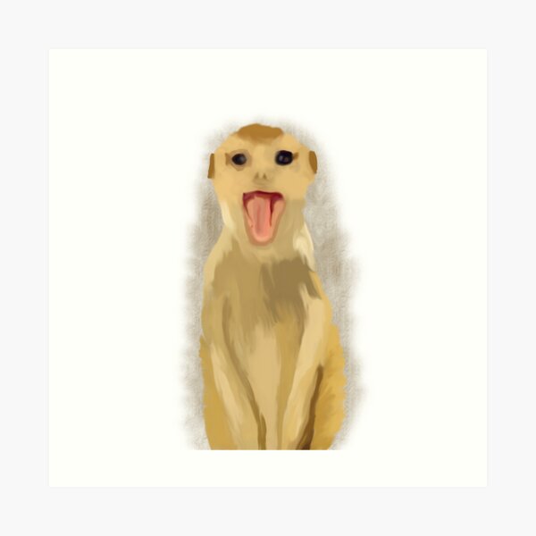 Impressions Artistiques Sur Le Theme Suricate Redbubble