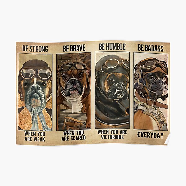 Boxer Dog Pilot Be Strong When You Are Weak Poster