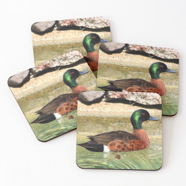 Item preview, Wild Duck on Pond designed and sold by bradm50.